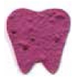 Mini Tooth Style 2 Shape Seed Paper Gift Pack